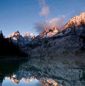 Meet your Posher, Julia